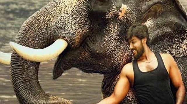 Raja Bheema audio rights acquired by Think Music